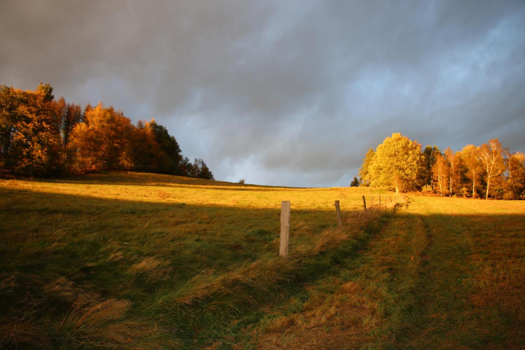 Gasthaus "Zum Wanderstuebel" Hinterhermsdorf Exteriör bild